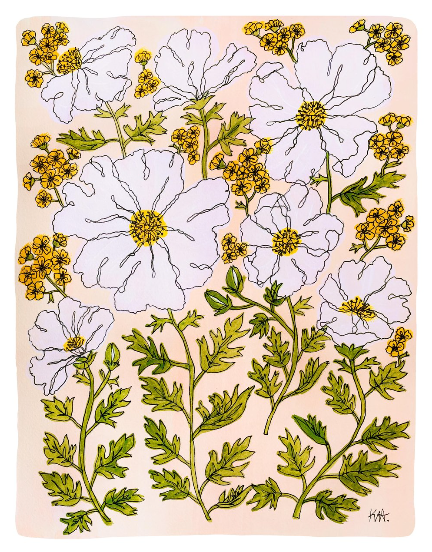 Matilija Poppy Peach Print | Kim Hoppe 11 x 14"