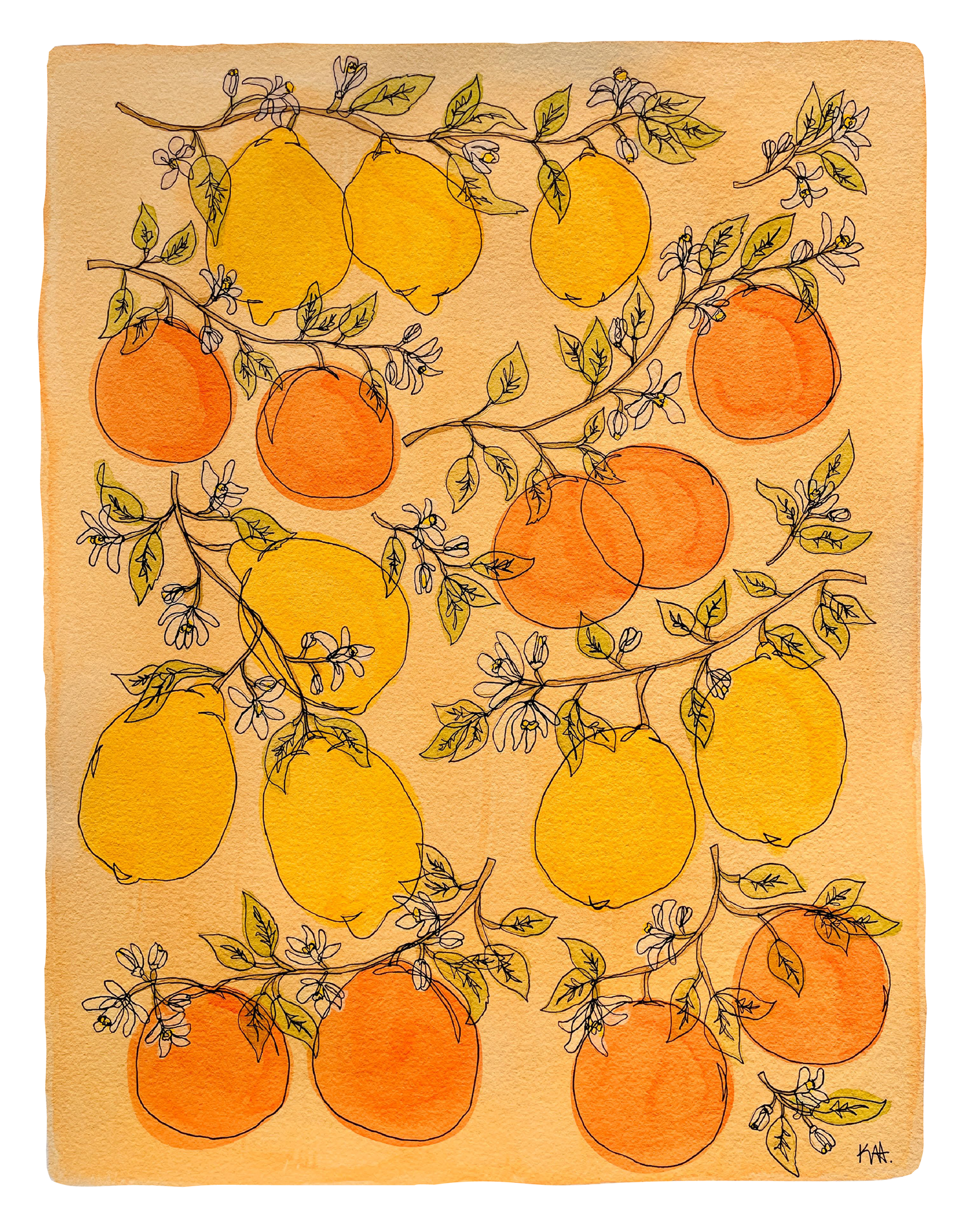 Sweet Citrus Print | Kim Hoppe 11 x 14"